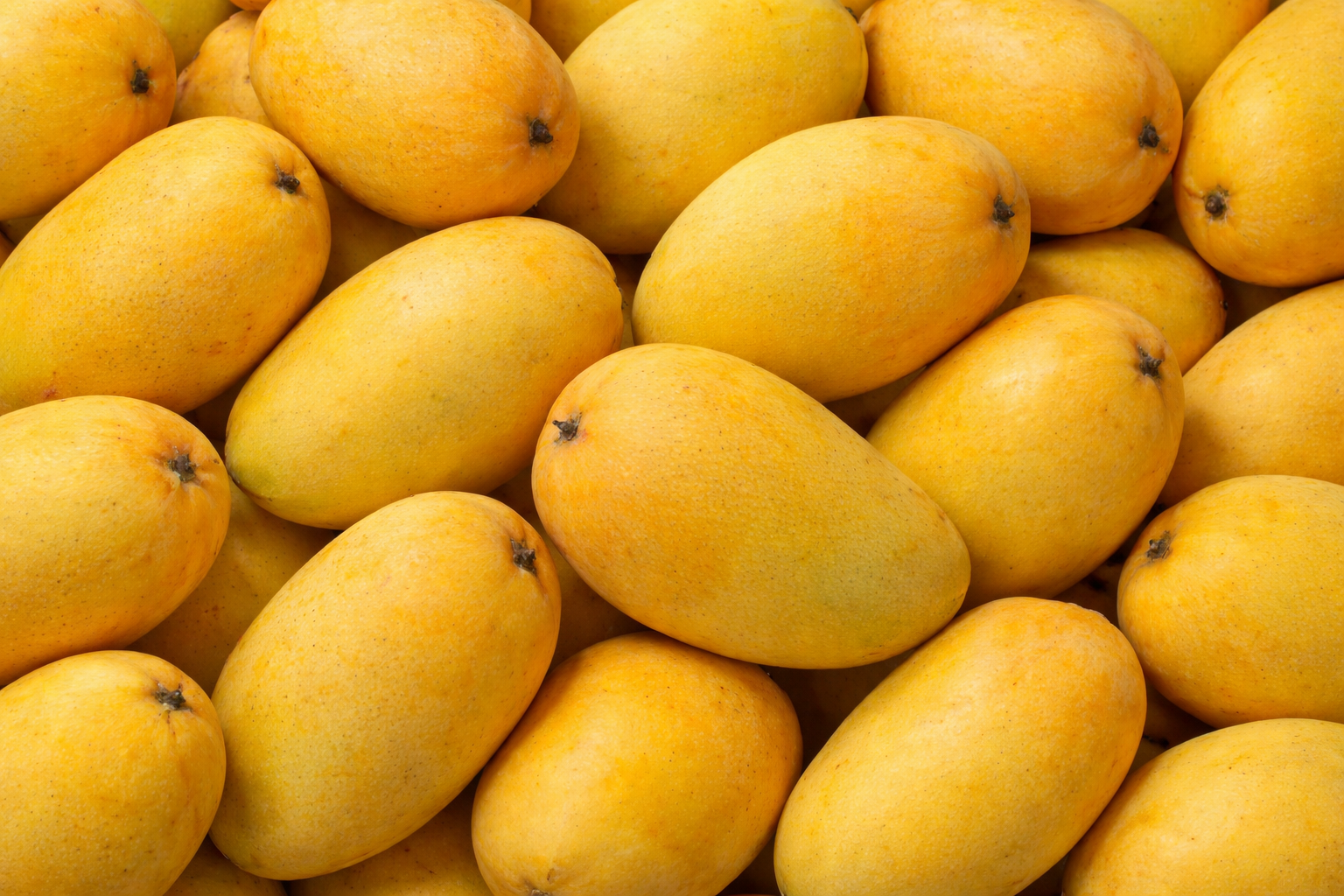 Fresh whole and cut raw mangoes used as natural ingredients for fruit chips